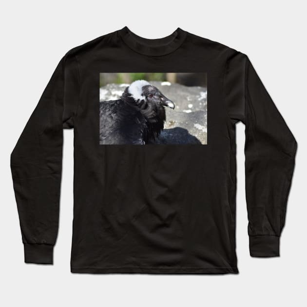 Condor Long Sleeve T-Shirt by MarieDarcy